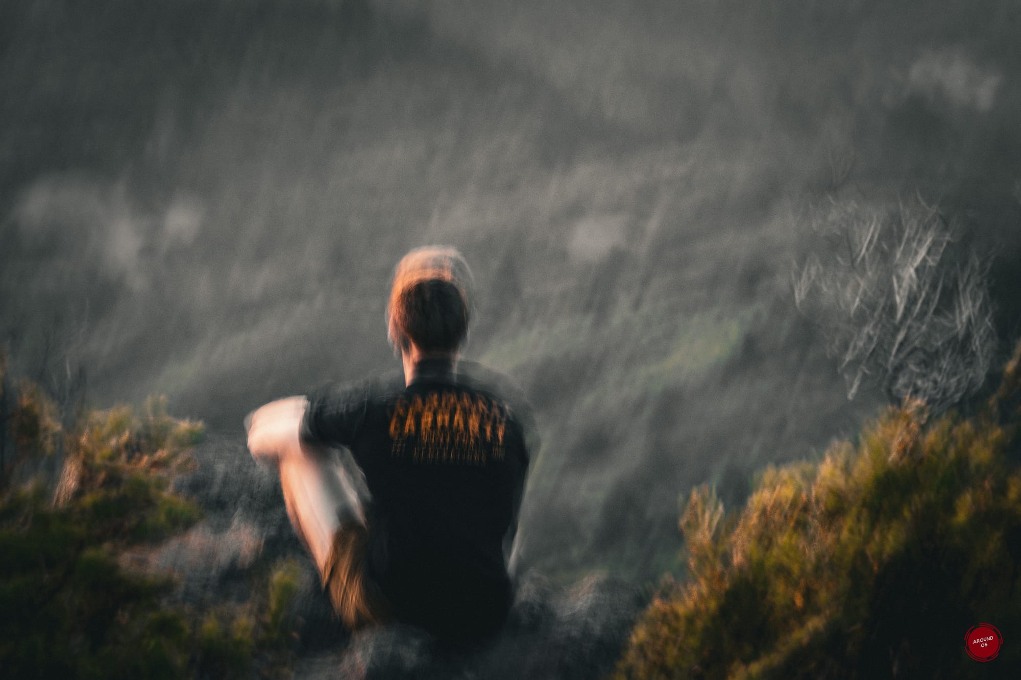 Mt. Tamalpais