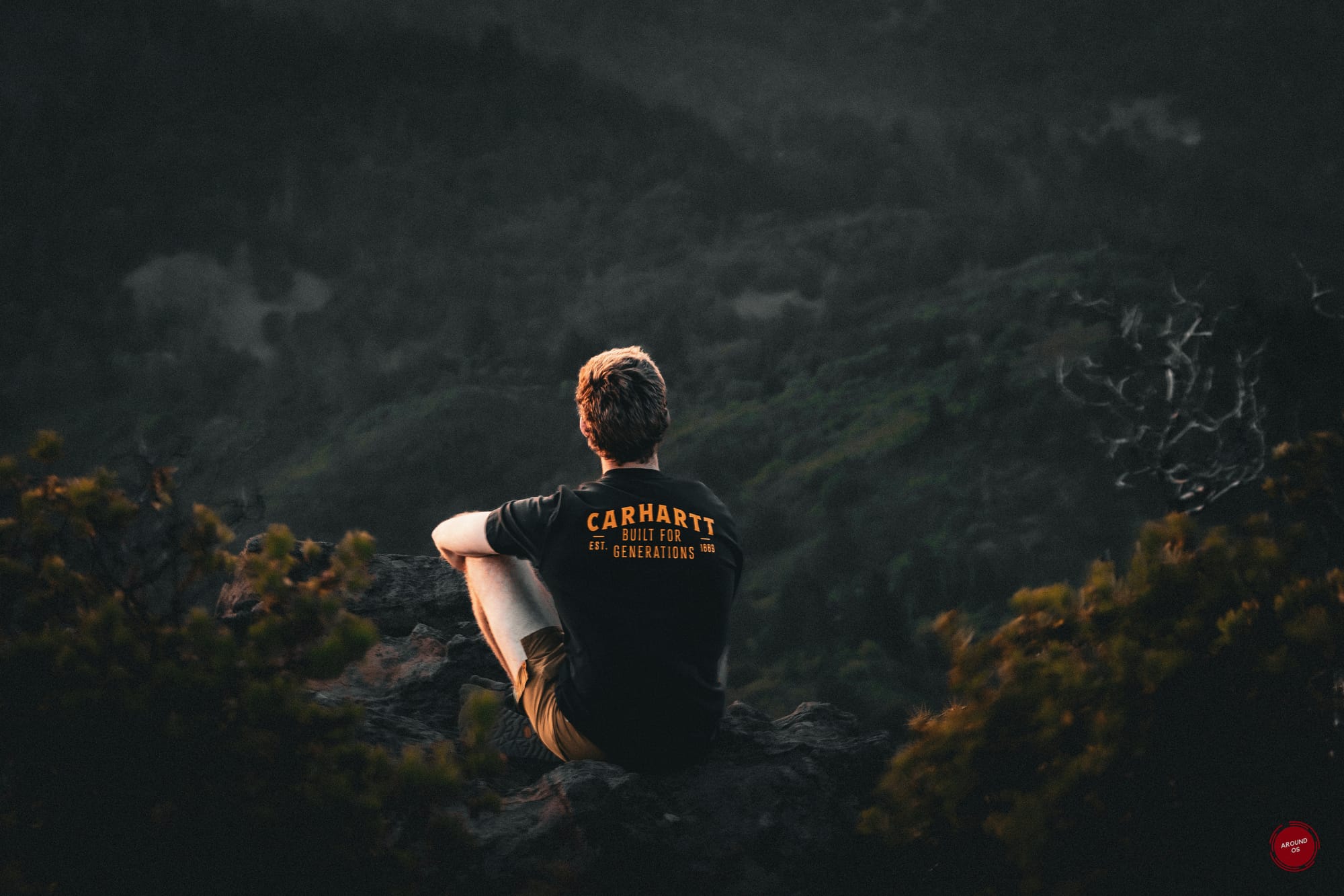 Mt. Tamalpais